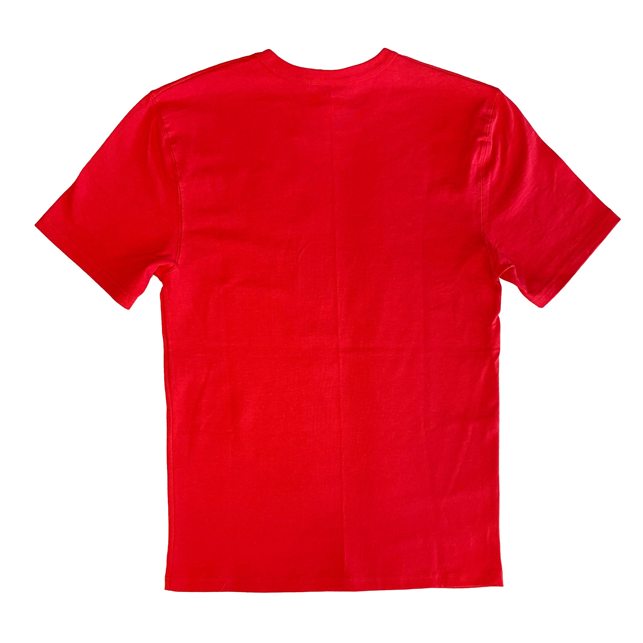 Red and blue champion shirt top