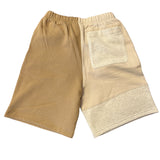 Champion Men’s Colorblock Classic Fleece Shorts 8” ThatShoeStore