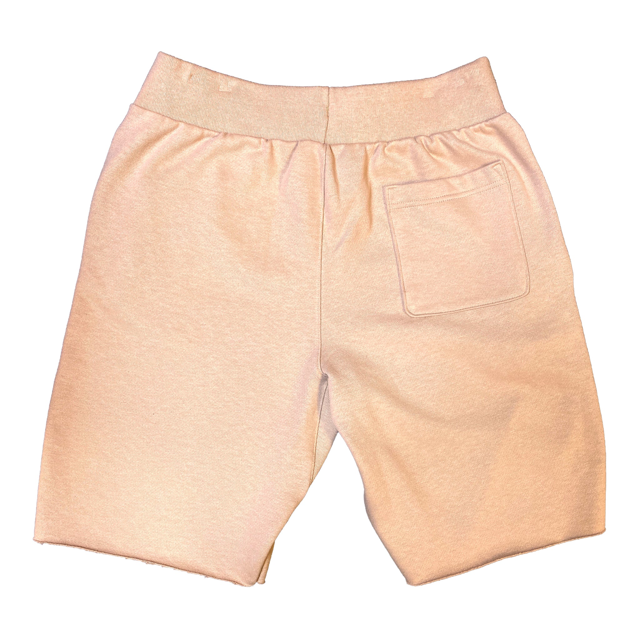 Champion Men's Reverse Weave Cut Off Shorts – That Shoe Store and More